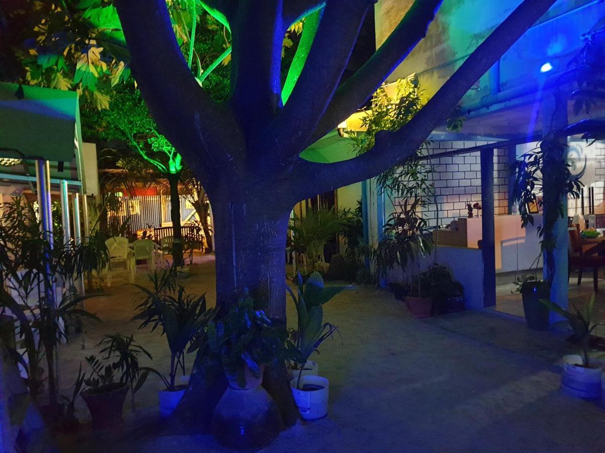 ホテル Maafushi View エクステリア 写真