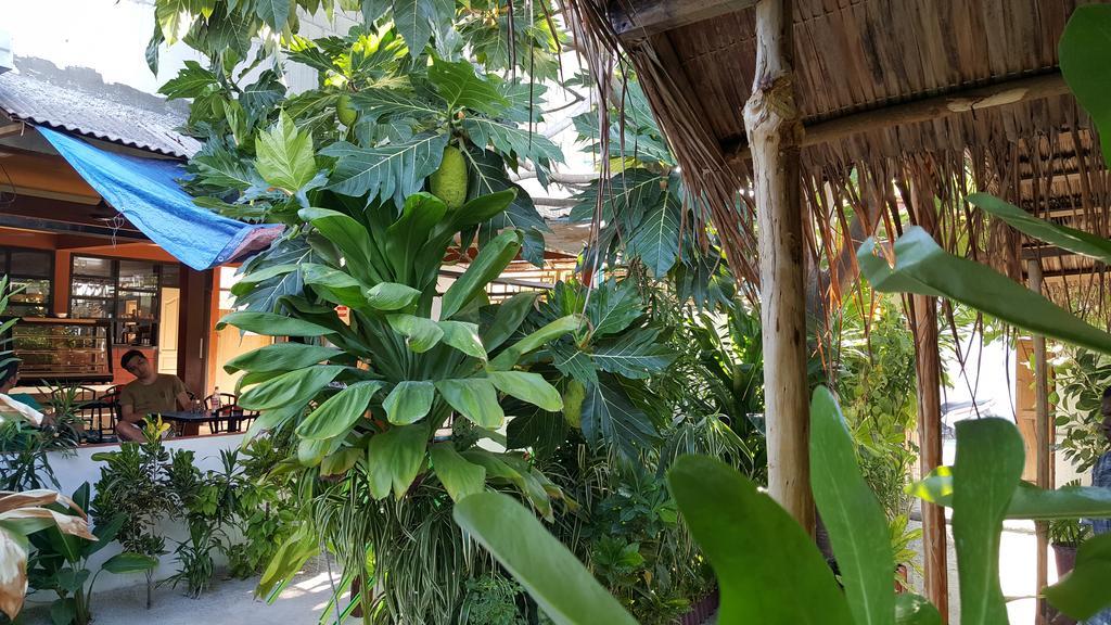 ホテル Maafushi View エクステリア 写真
